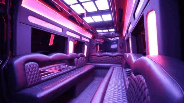 Interior of Wausau Party Bus Company's 14 Passenger Sprinter Limousine in Wausau