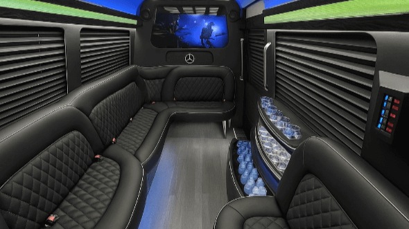 Wisconsin 14 passenger sprinter limousine interior